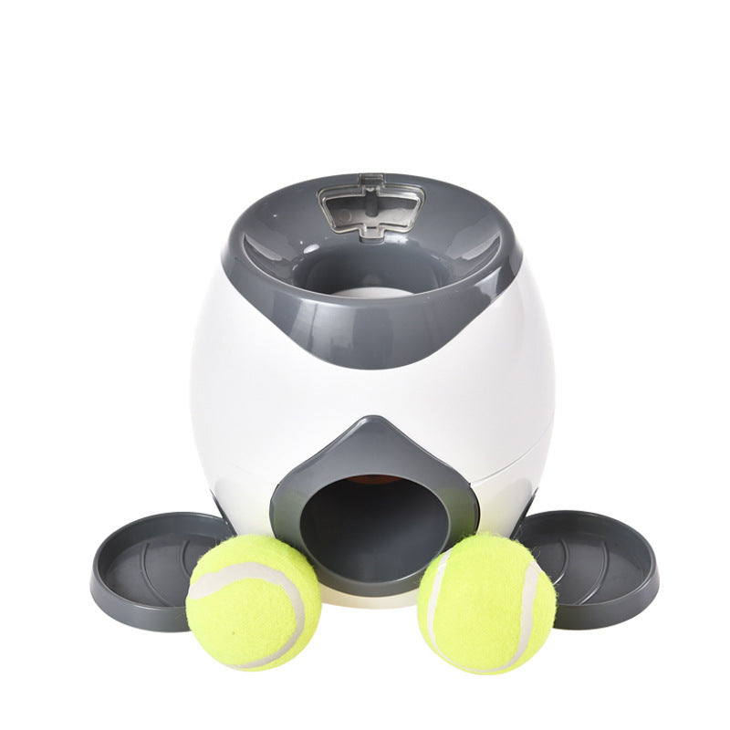 Snack-Tennis für schlaue Pfoten
