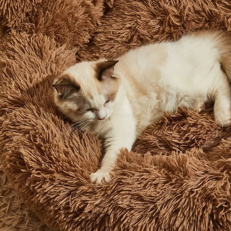 Flauschtraum