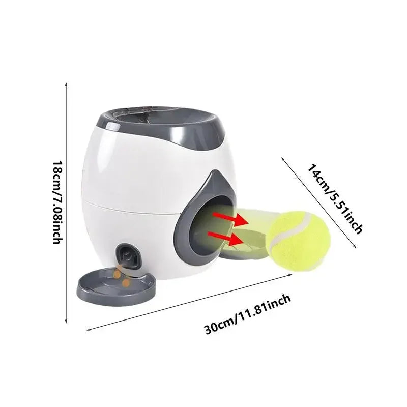Snack-Tennis für schlaue Pfoten