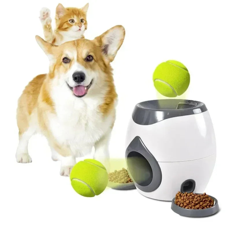 Snack-Tennis für schlaue Pfoten